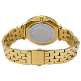 Michael Kors Women’s Quartz Gold Stainless Steel Gold Dial 38mm Watch MK3898