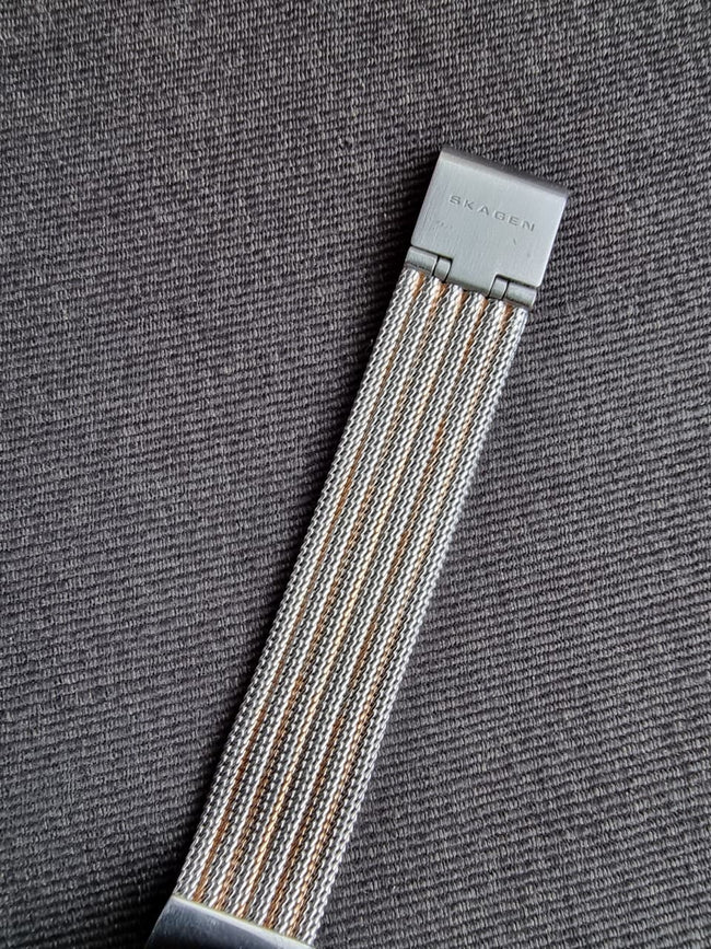 Skagen Titanium Two-tone Mesh Bracelet Mother of pearl Dial Quartz Watch for Ladies - 355SSRS Main Image