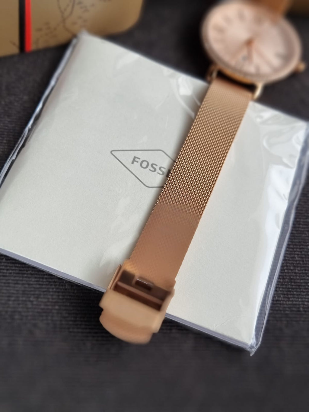 Fossil Women's Jacqueline Quartz Stainless Steel Three-Hand Watch