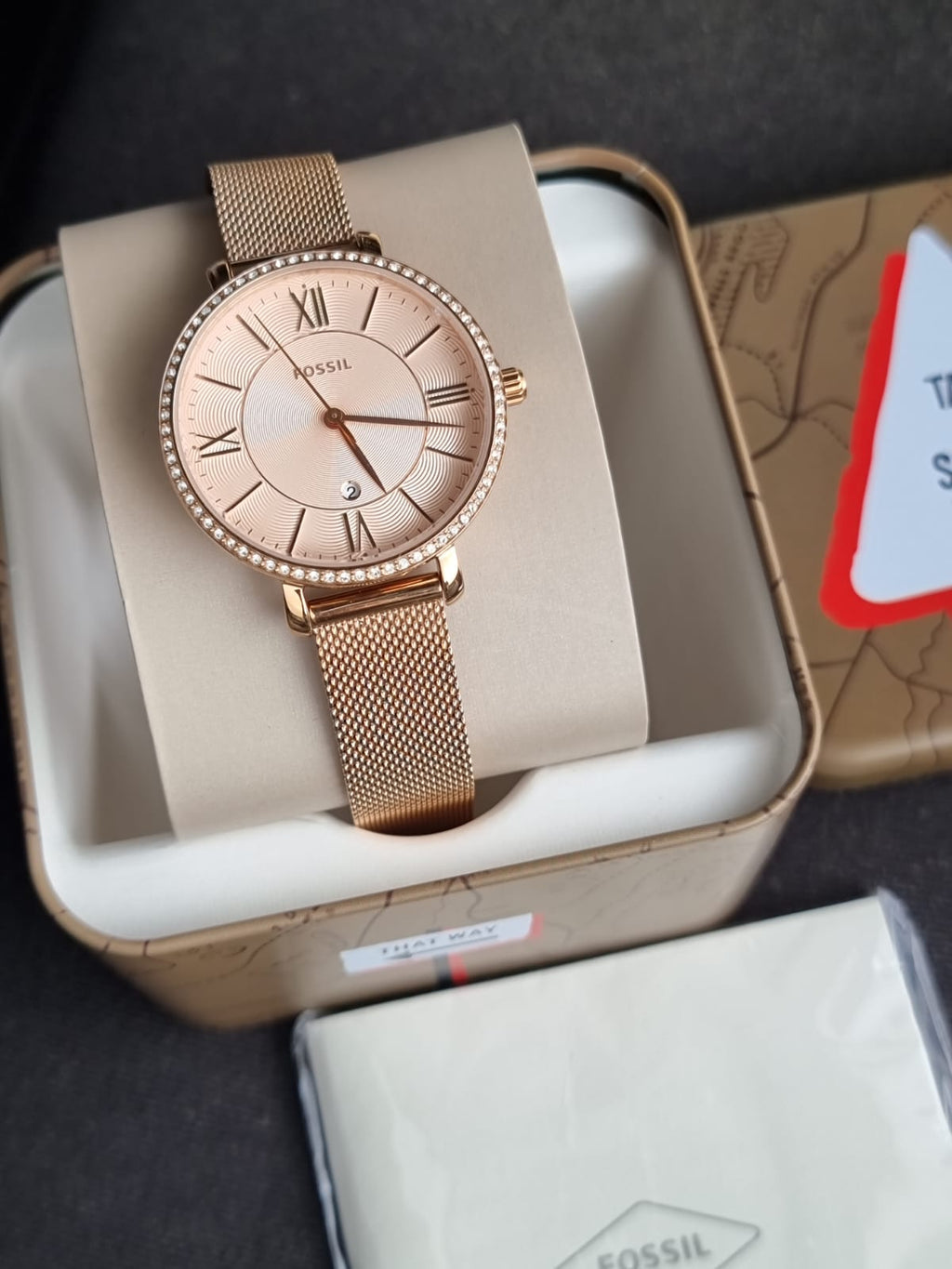 Fossil Women's Jacqueline Quartz Stainless Steel Three-Hand Watch