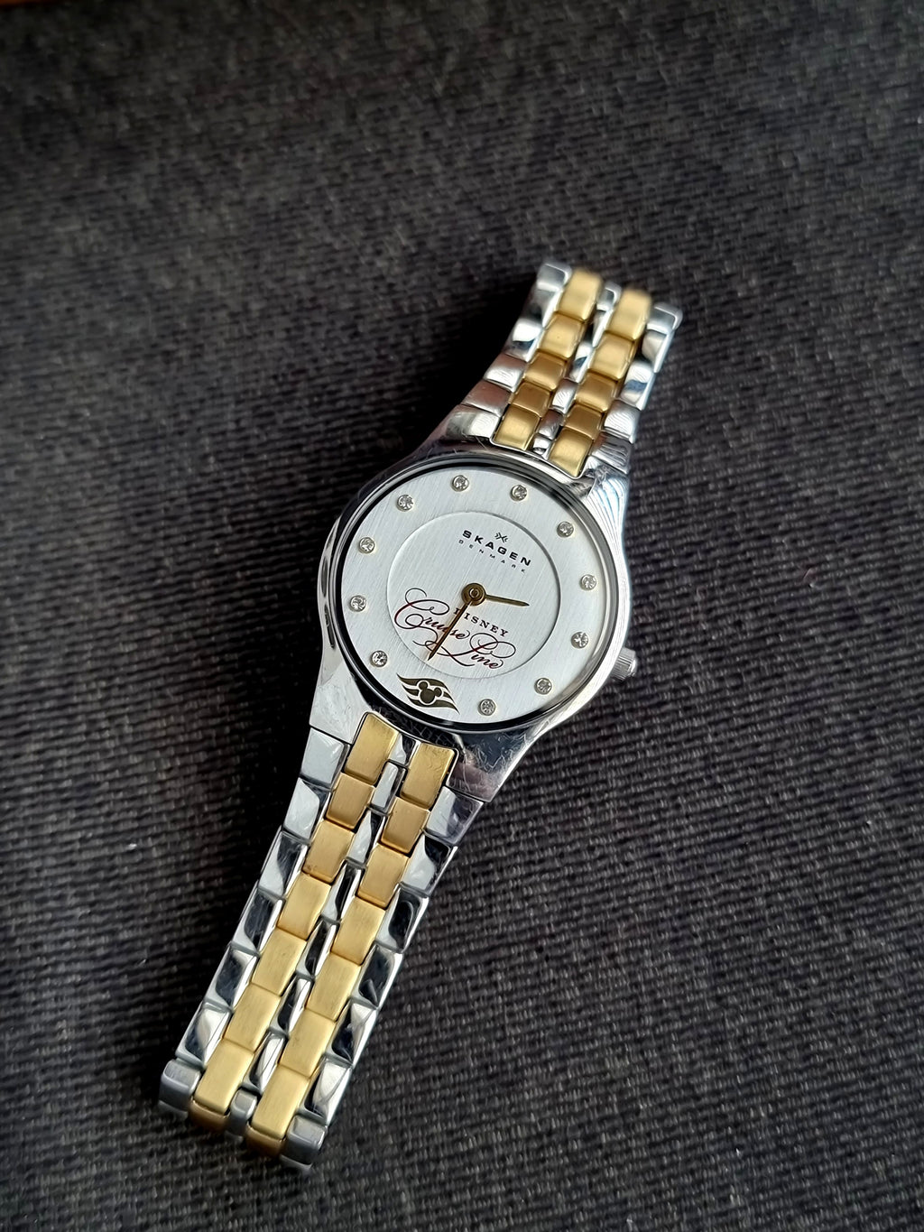 Skagen Denmark Fashion Brand Ladies Watch 28mm Dial Watch DCL433SGX