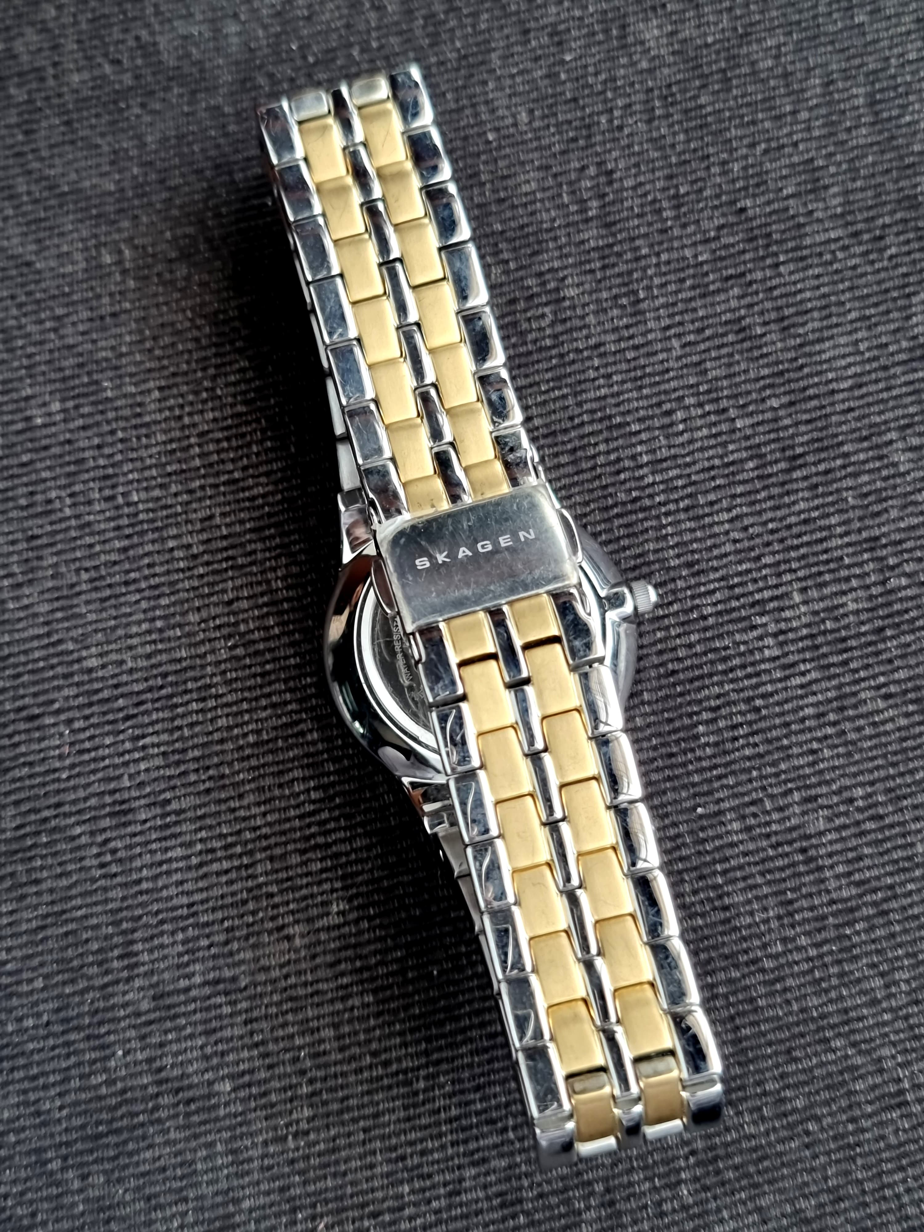 Skagen Denmark Fashion Brand Ladies Watch 28mm Dial Watch DCL433SGX