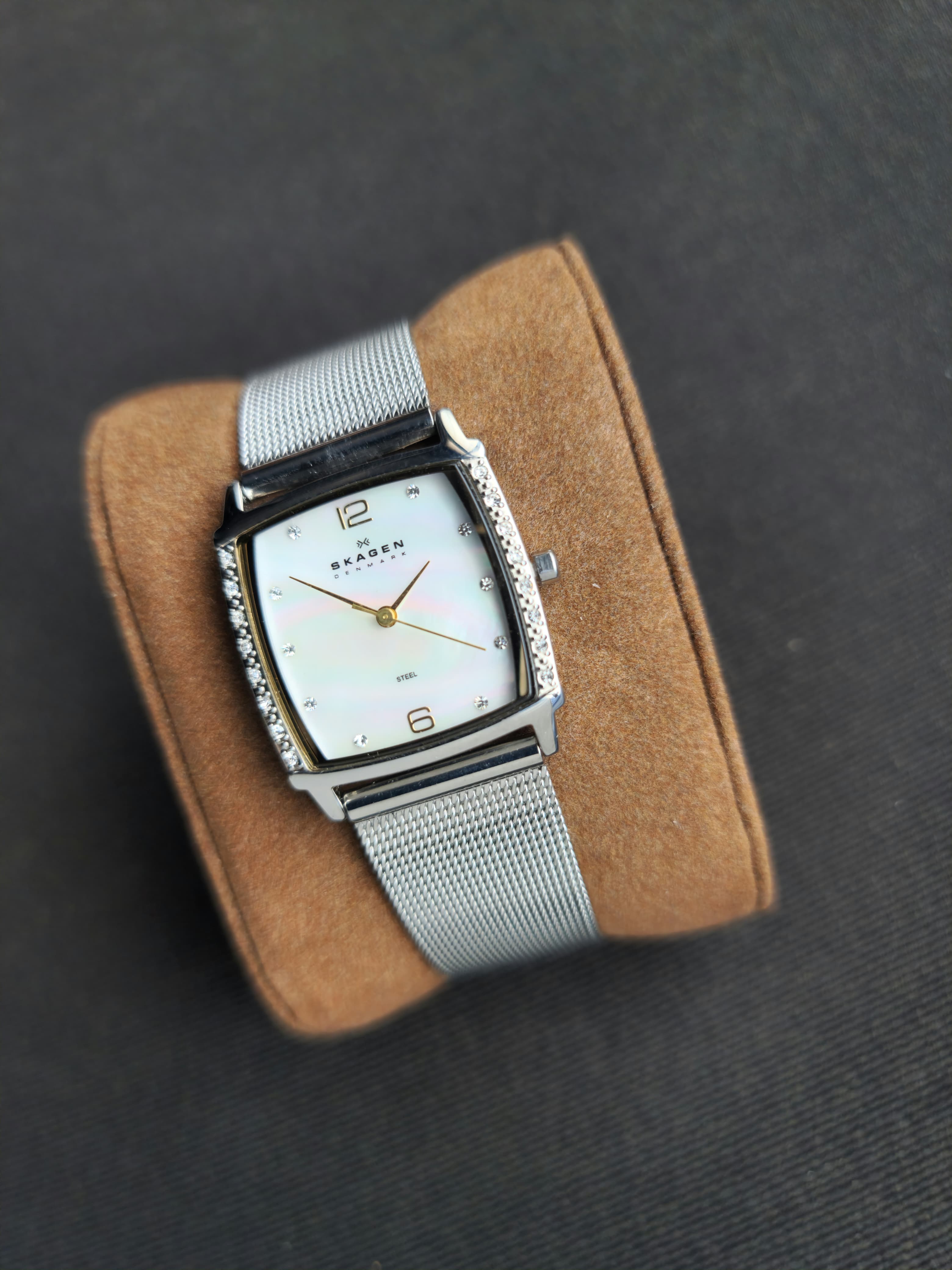 Skagen Ladies Watch 819SSGS Rectangle Quartz Watch