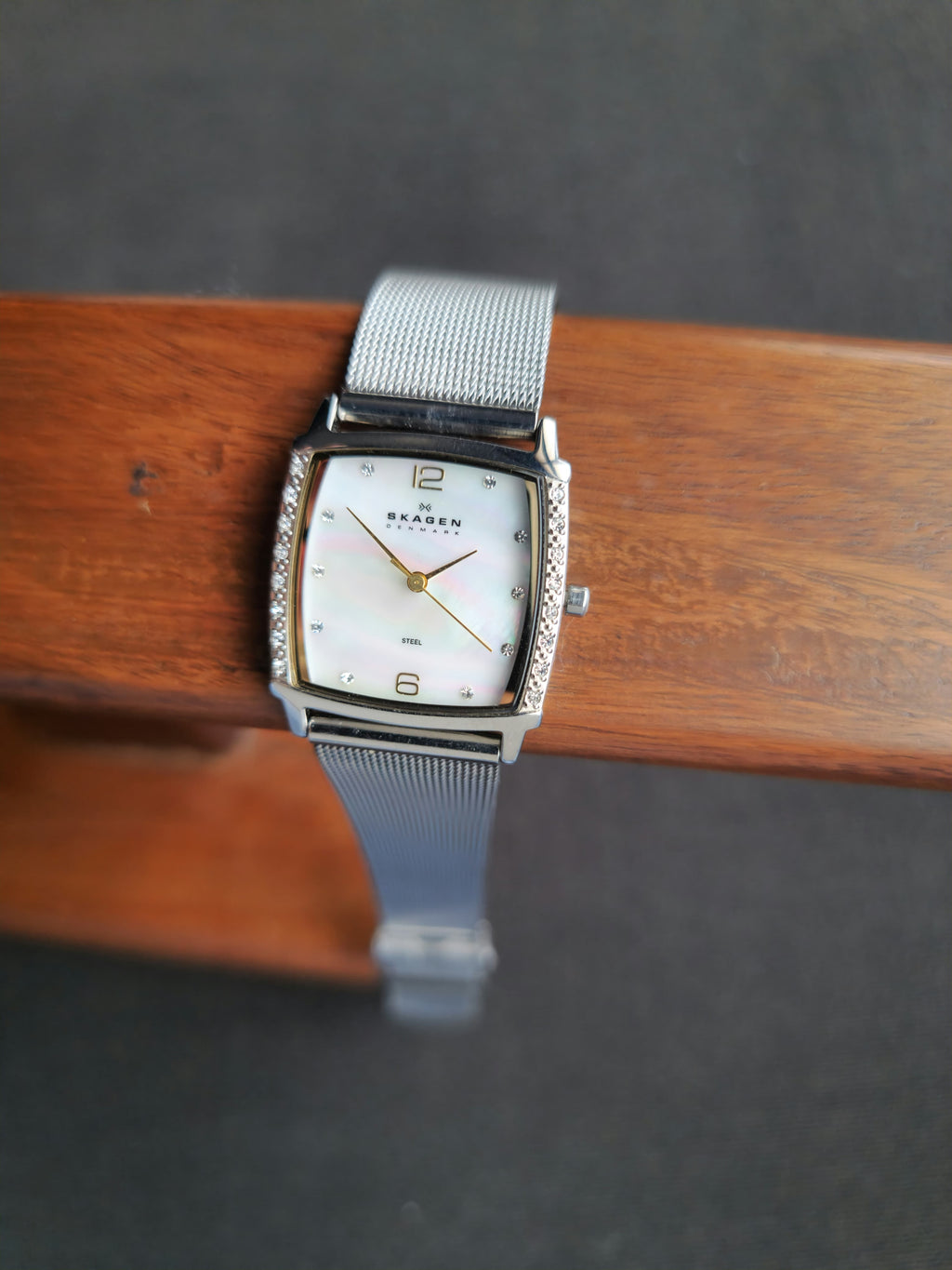 Skagen Ladies Watch 819SSGS Rectangle Quartz Watch