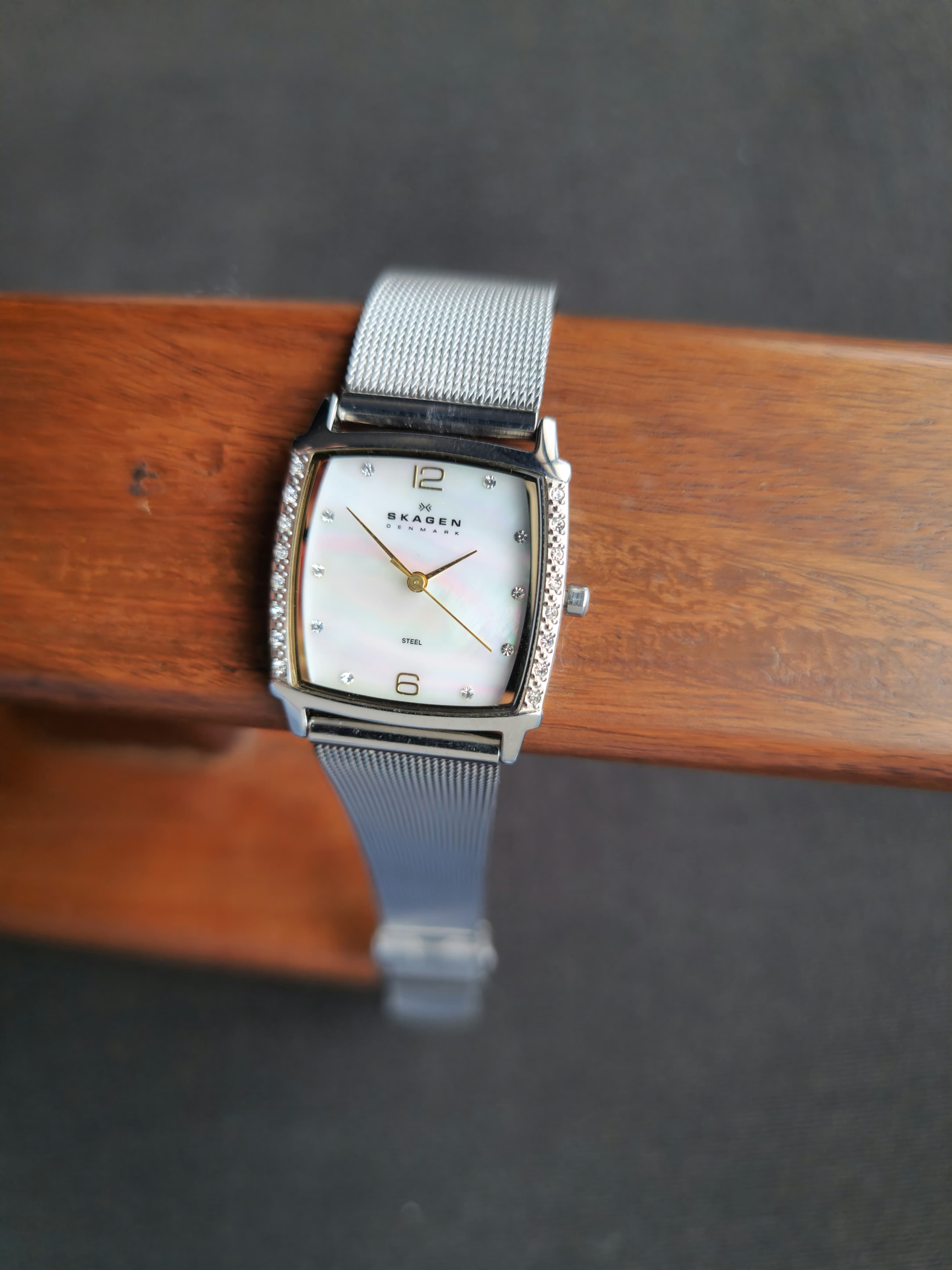 Skagen Ladies Watch 819SSGS Rectangle Quartz Watch
