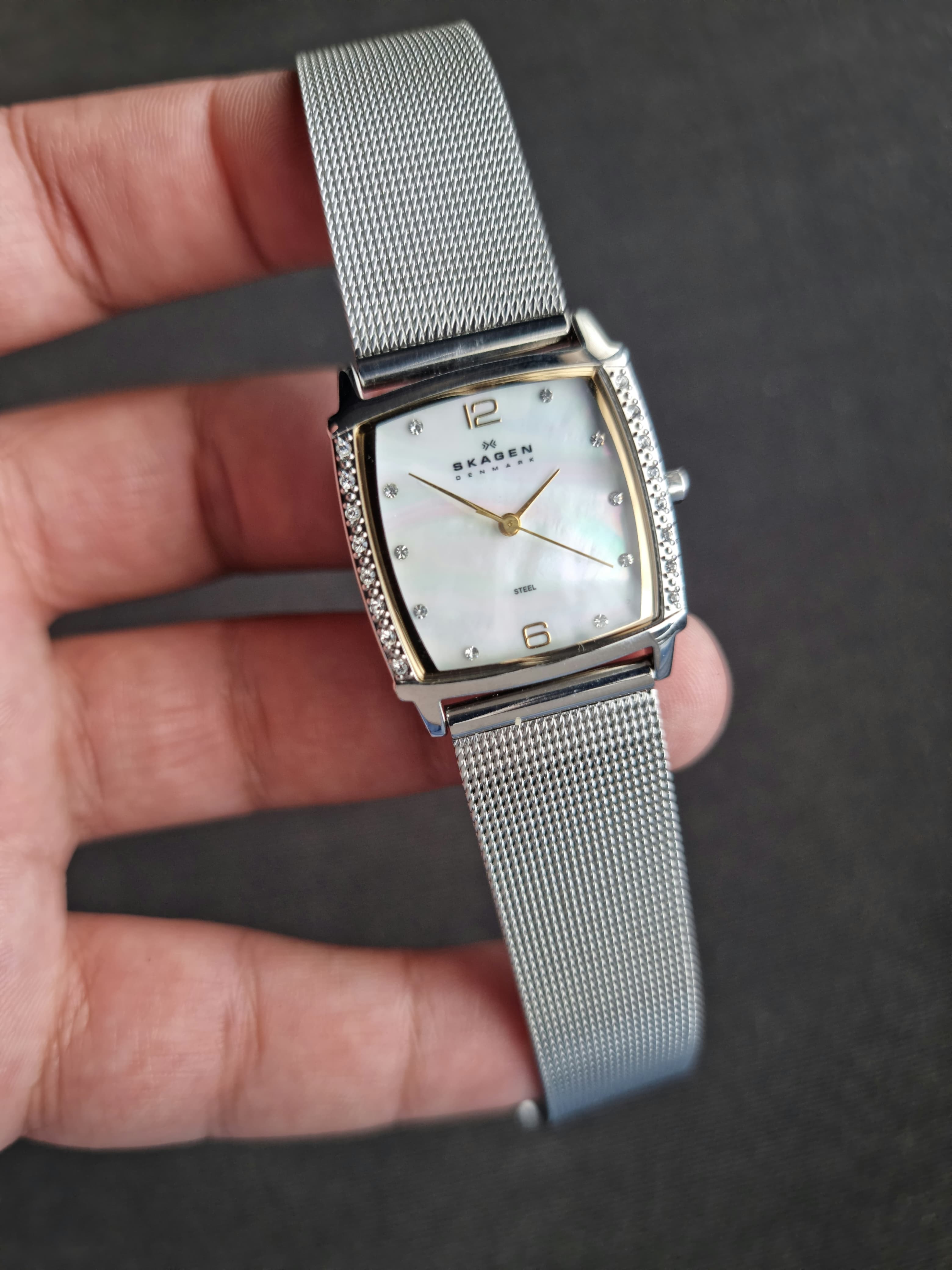 Skagen Ladies Watch 819SSGS Rectangle Quartz Watch