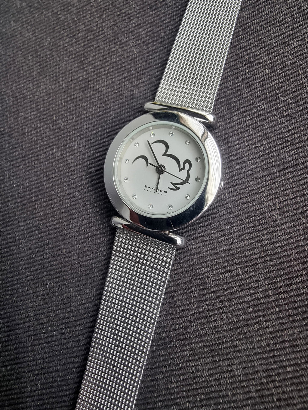 Skagen Ladies Watch 25mm Dial Quartz Watch