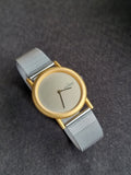 Skagen Ladies Watch Golden Casing Gray Dial Mesh Chain Quartz Watch