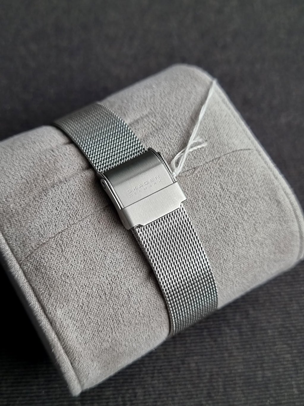 Skagen Denmark Fashion Brand DCL358SSSD 25mm Dial Quartz Watch