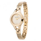 Emporio Armani Classic Gold Stainless Steel Silver Dial Quartz Watch for Ladies – AR7363